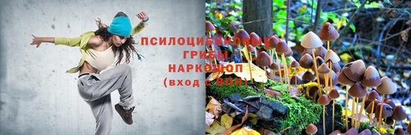мдма Елизово