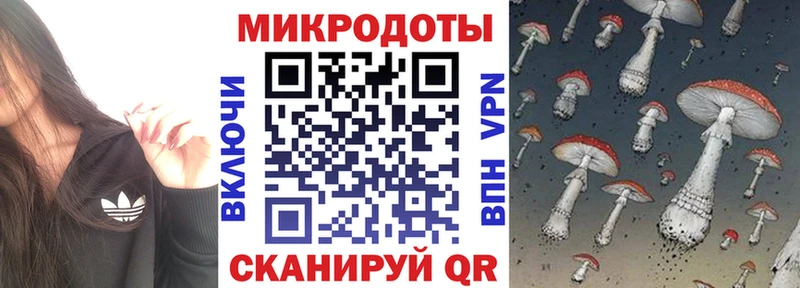 Купить закладки  Миньяр  Псилоцибиновые грибы Cubensis 